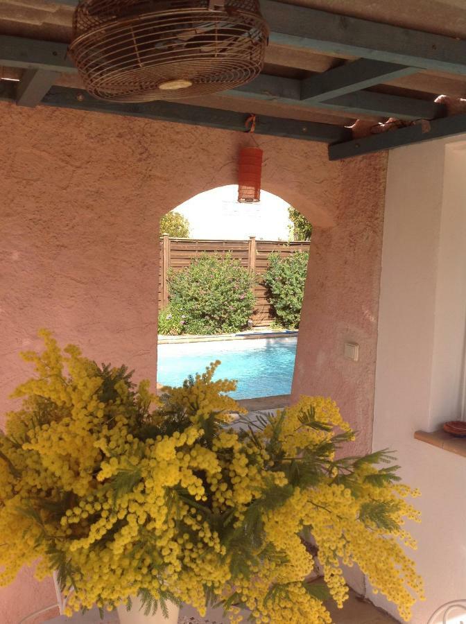 Rez De Jardin Sur Mer.