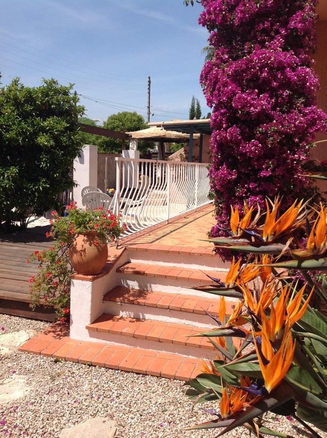 Rez De Jardin Sur Mer.
