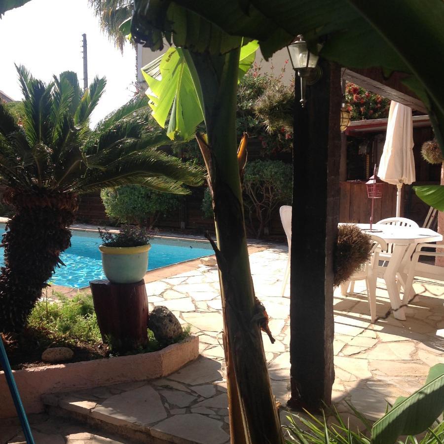 Rez De Jardin Sur Mer. Cagnes-sur-Mer